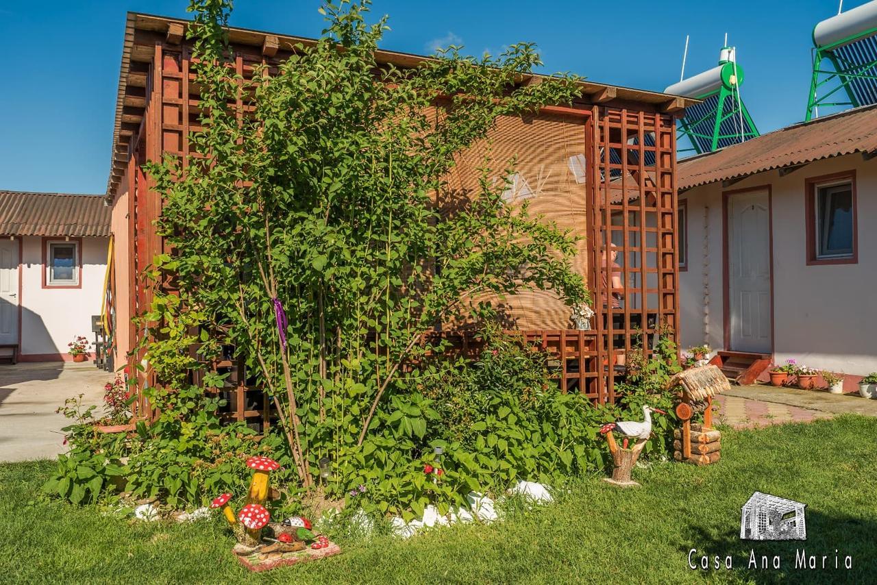 Вилла Casa Ana Maria Вама-Веке Экстерьер фото