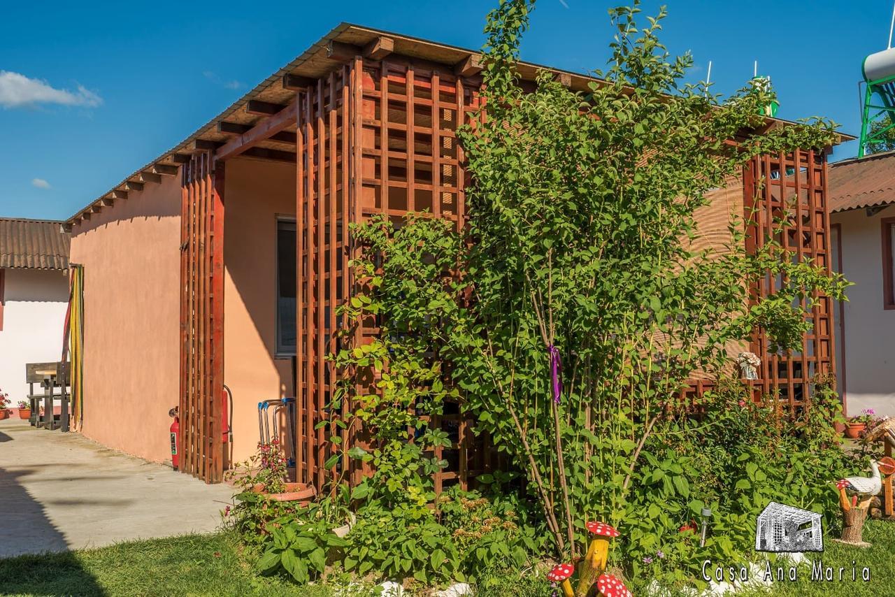 Вилла Casa Ana Maria Вама-Веке Экстерьер фото